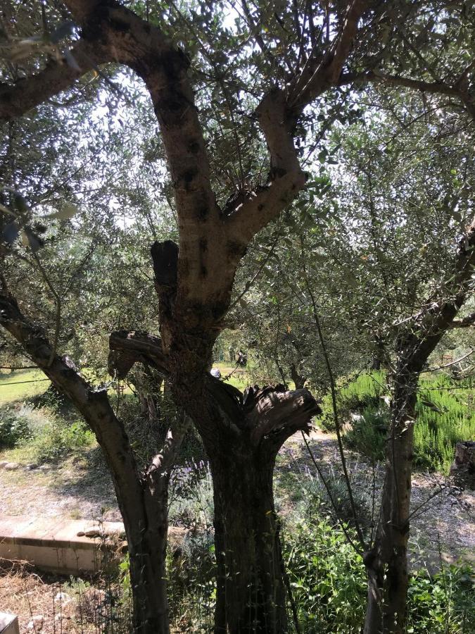 Moscufo Casa Lunaria מראה חיצוני תמונה